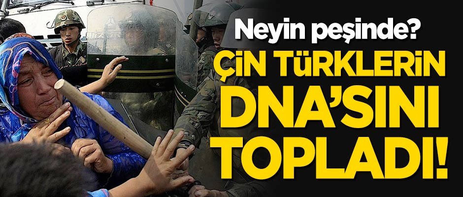 Çin Türklerin DNA'larını topladı! Neyin peşindeler?