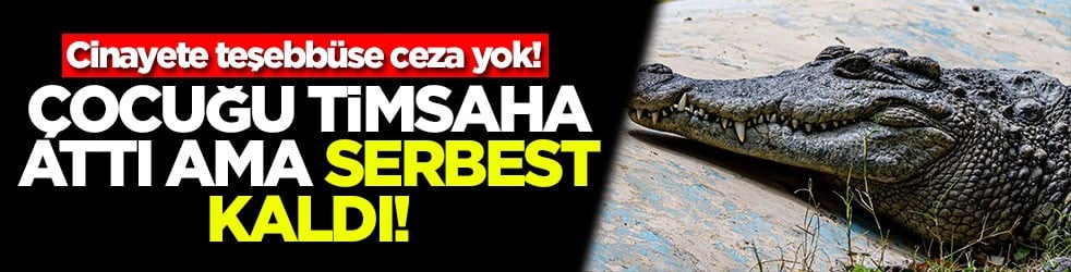 Cinayete teşebbüse ceza yok! Çocuğu timsaha attı ama serbest kaldı