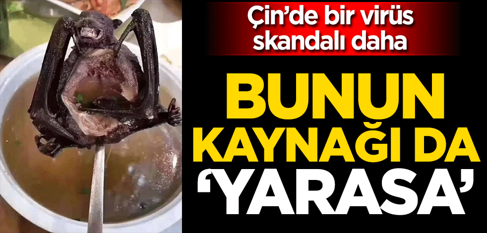 Çin’de bir virüs skandalı daha patladı! Bunun kaynağı da yarasa