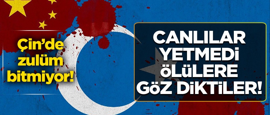 Çin'de Zulüm Bitmiyor! Canlılar yetmedi ölülere göz diktiler