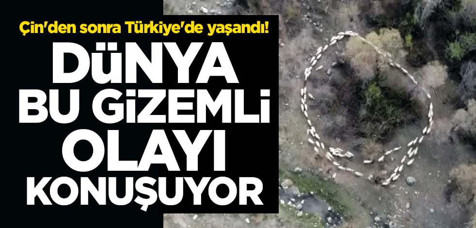 Çin'den sonra Türkiye'de yaşandı! Dünya bu gizemli olayı konuşuyor