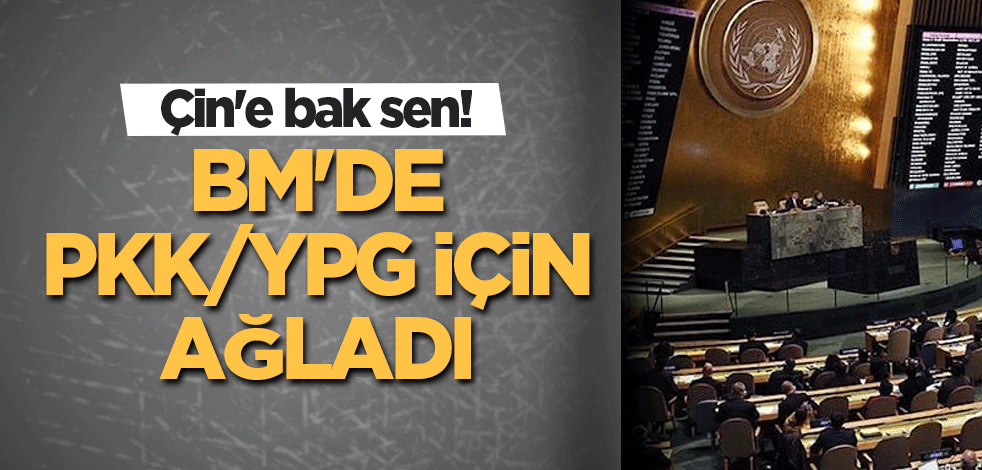 Çin'e bak sen! BM'de PKK/YPG için ağladı