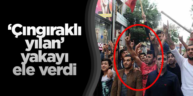 'Çıngıraklı yılan' yakalandı