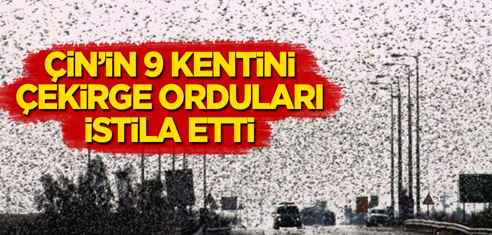 Çin'in 9 kentini çekirge orduları istila etti!