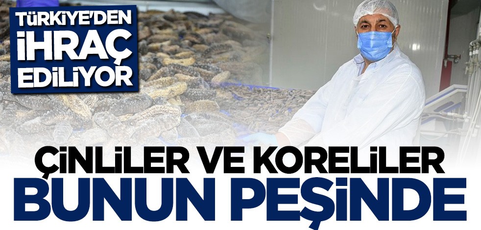 Çinliler ve Koreliler bunun peşinde! Türkiye'den ihraç ediliyor