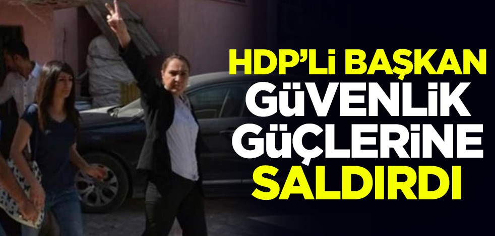 "Çıplak arama" ve "darp" iddiası yalan çıkan HDP’nin Hakkari eski Belediye Başkanı Dilek Hatipoğlu güvenlik güçlerine saldırdı
