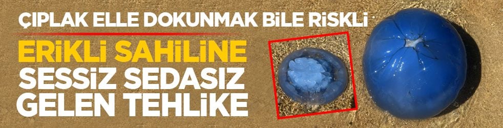 Çıplak elle dokunmak bile riskli: Erikli sahiline sessiz sedasız gelen tehlike