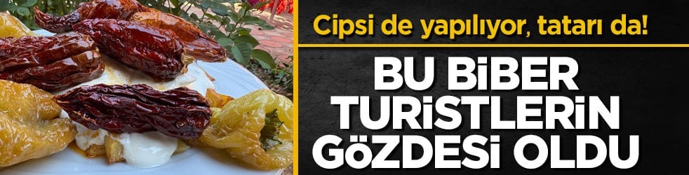 Cipsi de yapılıyor, tatarı da! Bu biber turistlerin gözdesi oldu