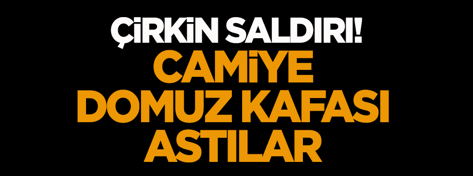 Çirkin saldırı! Camiye domuz kafası astılar