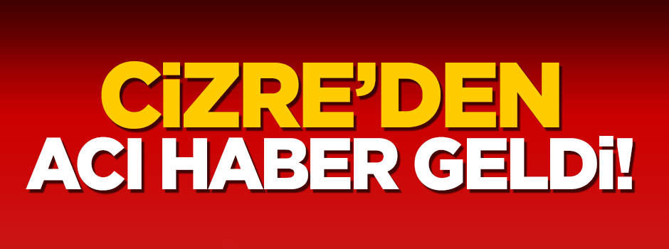 Cizre'de 1 üsteğmen şehit düştü