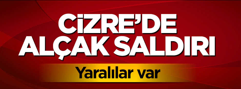 Cizre'de alçak tuzak: 4 polis yaralandı