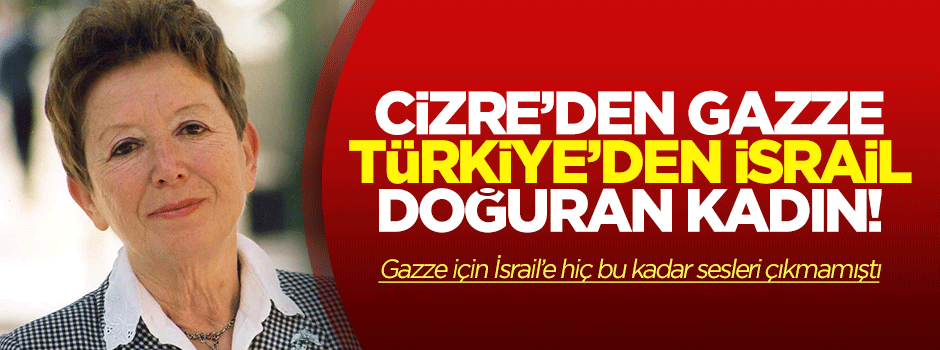 Kenan Alpay: Cizre’den Gazze, AKP’den İsrail doğuracak kadınlar