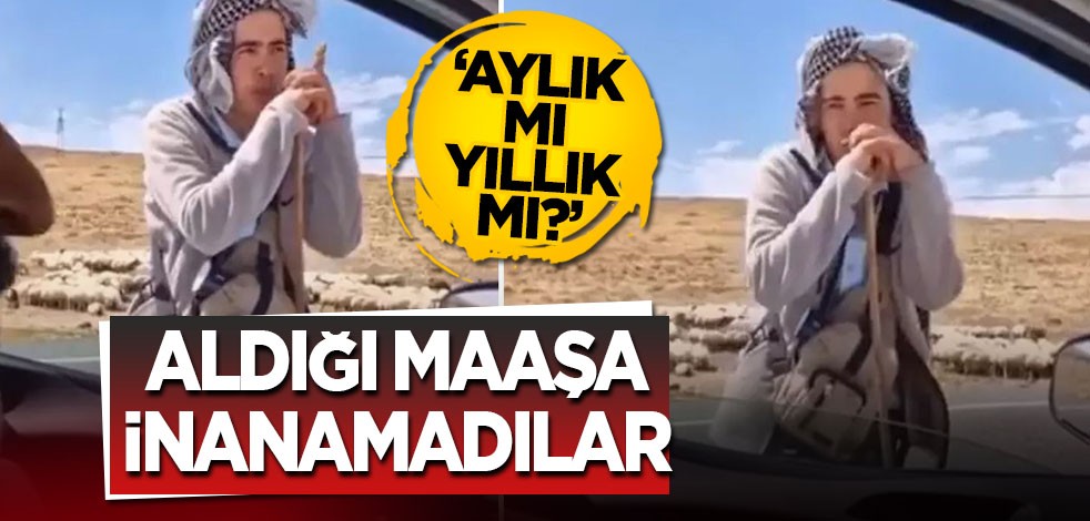Çobanın maaşını duyunca şaşırıp kaldılar! Bu maaş aylık mı, yıllık mı?