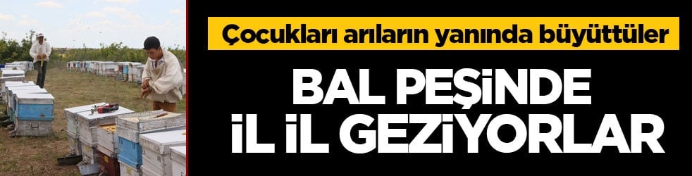 Çocukları arıların yanında büyüttüler! Bal peşinde il il geziyorlar