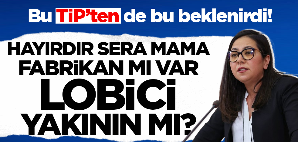 Çocukların parçalanması umrunda değil! TİP'li Sera Kadıgil'den hadsiz 'başıboş köpek' mesajı