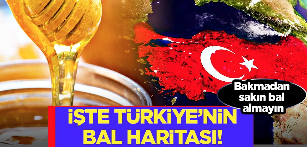 Coğrafi işaret tescilli çiçek balında hasat sürerken Türkiye'nin bal haritası yayınlandı... Bal hasadı başladı