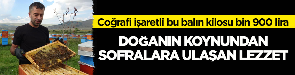Coğrafi işaretli bu balın kilosu bin 900 lira! Doğanın koynundan sofralara ulaşan lezzet