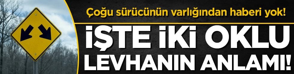 Çoğu sürücünün varlığından haberi yok: İşte iki oklu levhanın anlamı!