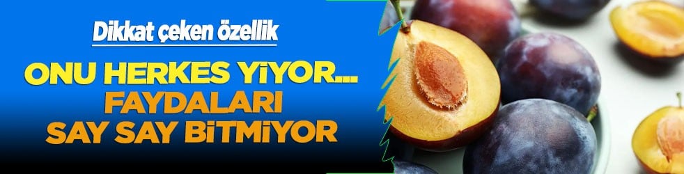 Çok az kişi biliyor: Mürdüm eriğini herkes yiyor ama.. Bilinmeyen gerçek faydası ortaya çıktı