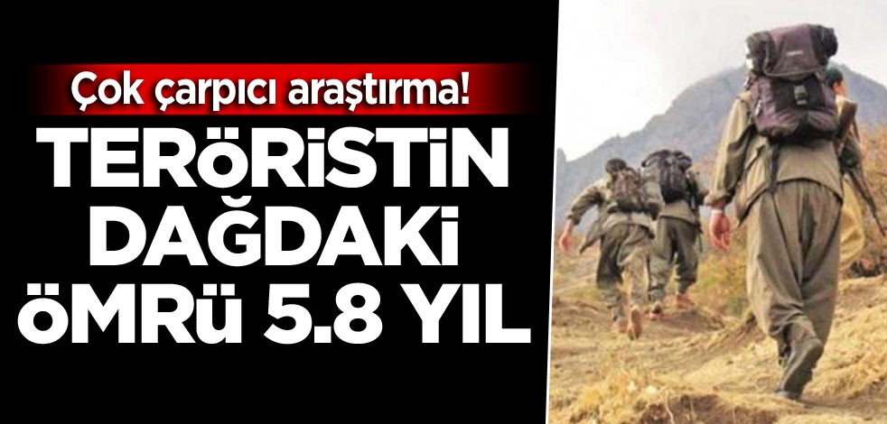 Çok çarpıcı araştırma! Teröristin dağdaki ömrü 5.8 yıl