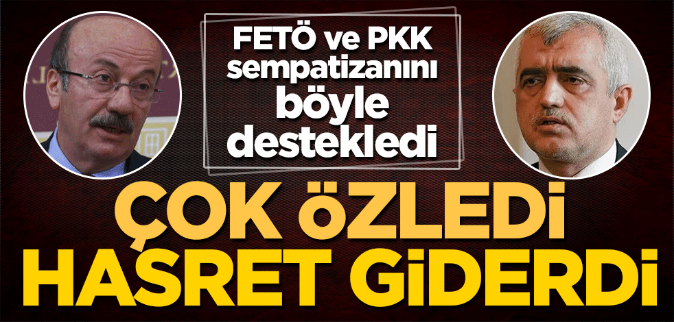 Çok özlemiş... CHP'li Bekaroğlu, FETÖ ve PKK sempatizanı Gergerlioğlu'yla böyle hasret giderdi