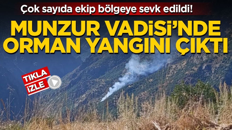 Çok sayıda ekip bölgeye sevk edildi! Munzur Vadisi’nde orman yangını çıktı