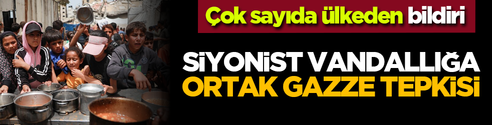 Çok sayıda ülkeden bildiri: Siyonist vandallığa ortak Gazze tepkisi