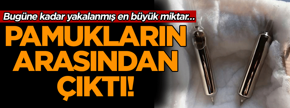 Çok tehlikeli… Bugüne kadar yakalanmış en büyük miktar… Pamukların arasından çıktı!