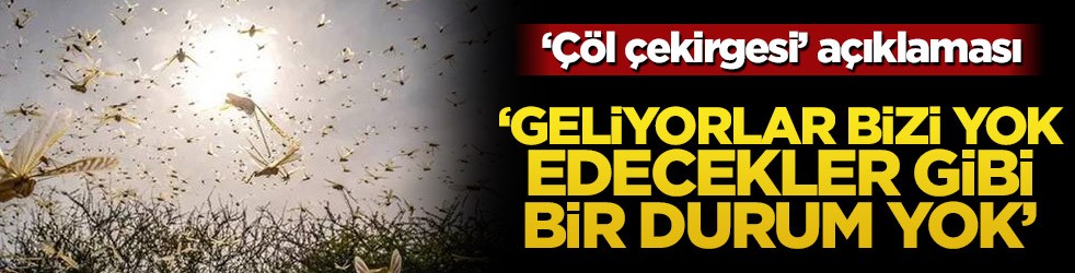 ‘Çöl çekirgesi’ açıklaması! "Geliyorlar bizi yok edecekler’ gibi bir durum yok"