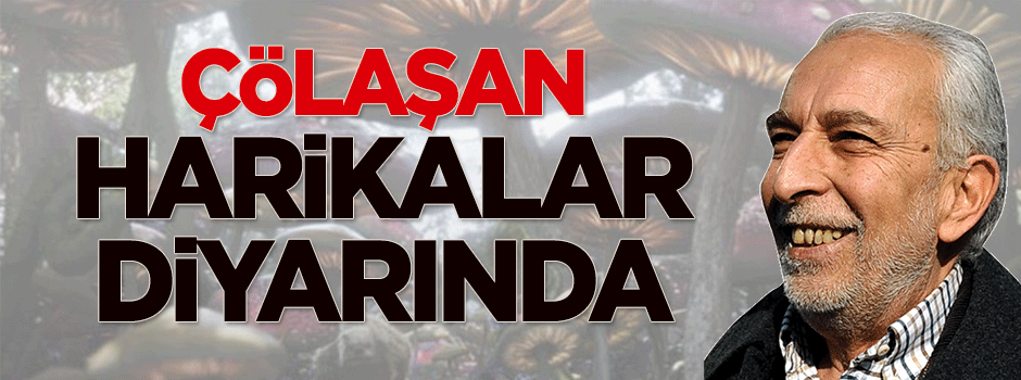 Çölaşan Harikalar Diyarında!