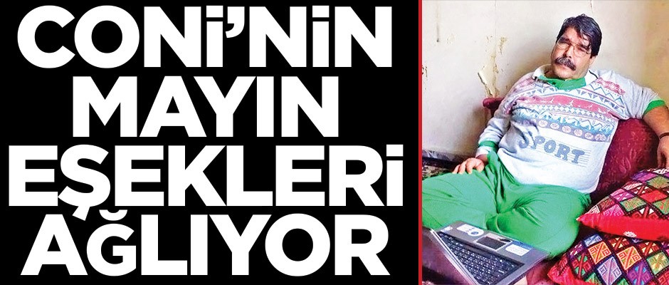 Coni’nin mayın eşekleri ağlıyor