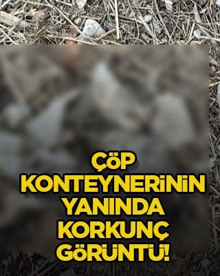 Çöp konteynerinin yanında korkunç görüntü!