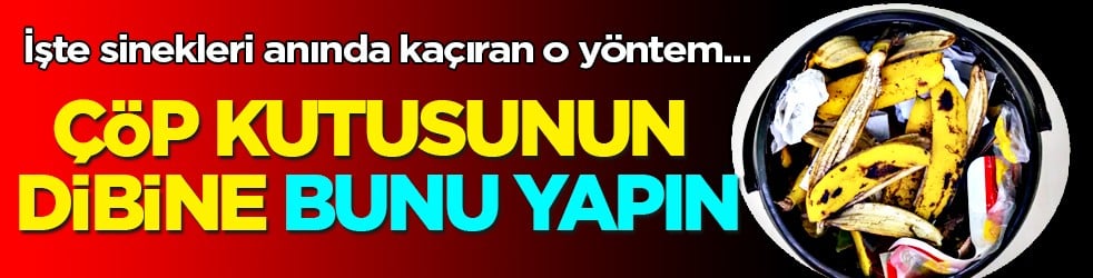 Çöp kutusunun dibine bu yöntemi yapanlar yaşadı! Sinek, minek kalmıyor...