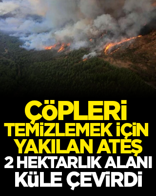 Çöpleri temizlemek için yakılan ateş 2 hektarlık alanı küle çevirdi