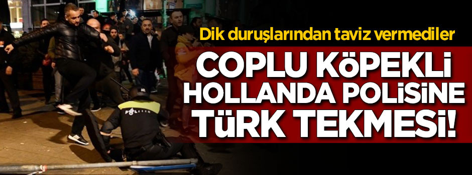 Coplu köpekli Hollanda polisine Türk tekmesi!