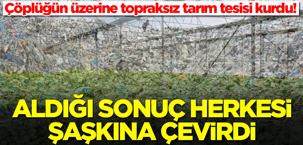 Çöplüğün üzerinde toprak olmadan tarım yapmaya başladı! Aldığı sonuç herkesi şaşkına çevirdi