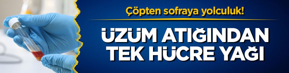 Çöpten sofraya yolculuk! Üzüm atığından tek hücre yağı