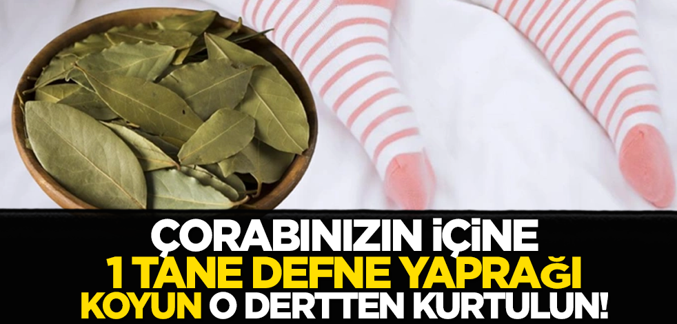 Çorabınızın içine 1 tane defne yaprağı koyun o dertten kurtulun!
