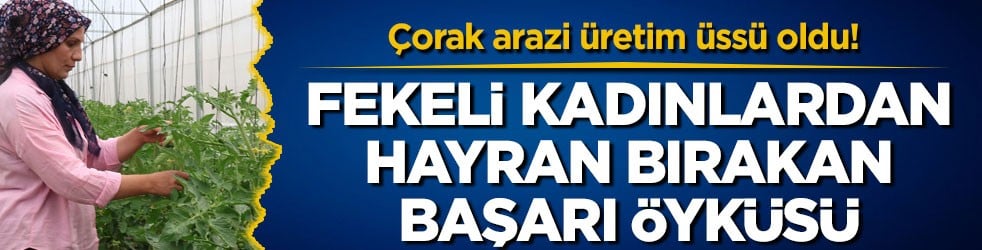 Çorak arazi üretim üssü oldu! Fekeli kadınlardan hayran bırakan başarı öyküsü