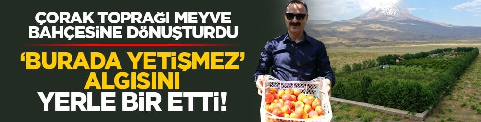 Çorak toprağı meyve bahçesine dönüştürdü: ‘Burada yetişmez’ algısını yerle bir etti!