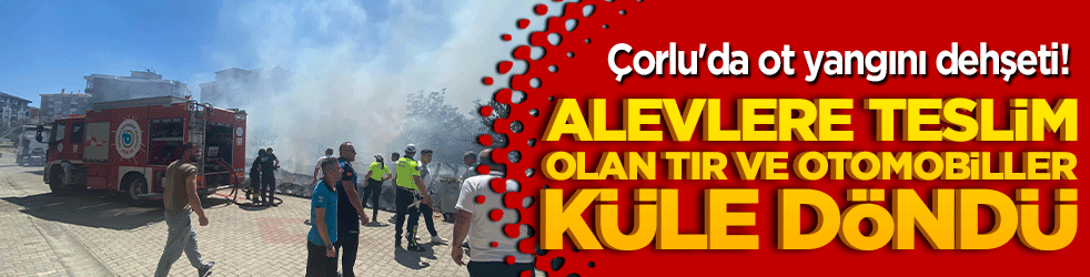 Çorlu'da ot yangını dehşeti! Alevlere teslim olan tır ve otomobiller küle döndü!