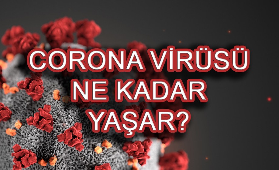 Corona virüsü kaç saat yaşar? Bulunduğu ortamda ne zaman ölür?