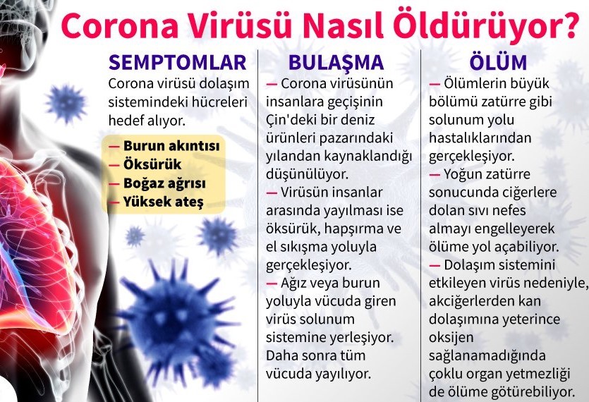 Corona virüsü nasıl öldürür?