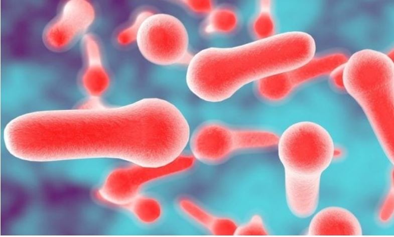 Corona virüsü vaka sayısı kaça çıktı?