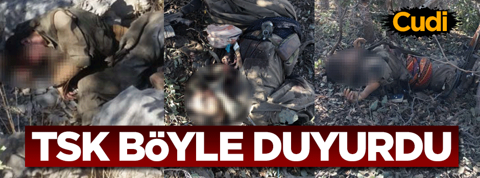Cudi Dağı'nda 3 terörist ölü ele geçirildi