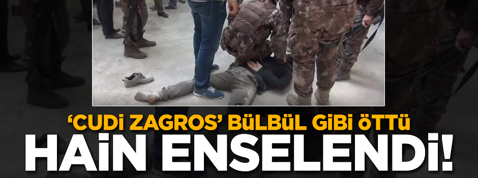 'Cudi Zagros' bülbül gibi öttü! Hain enselendi