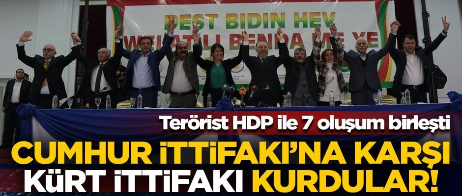 Cumhur İttifakı'na karşı 'Kürt İttifakı'nı kurdular! HDP ile 7 oluşum birleşti