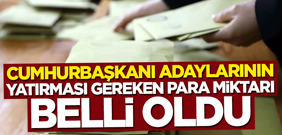 Cumhurbaşkanı adaylarının yatırması gereken para miktarı belli oldu