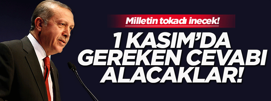 Cumhurbaşkanı Erdoğan: 1 Kasım çok önemli