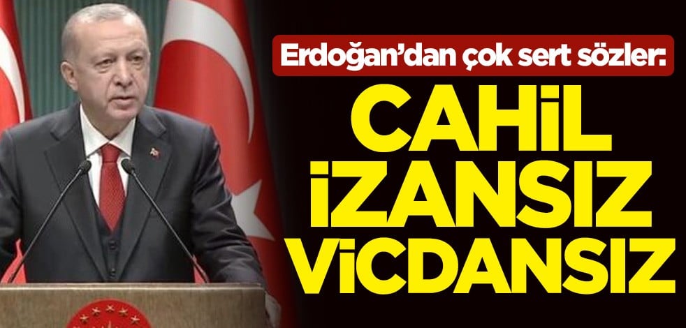 Cumhurbaşkanı Erdoğan'dan sert sözler: Cahil, izansız, vicdansız...